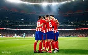 综合格斗赛事看点集中