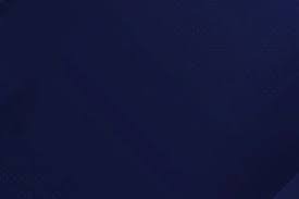 穆帅的本菲卡1米98门将受到英超球队关注，售价在4000万欧元